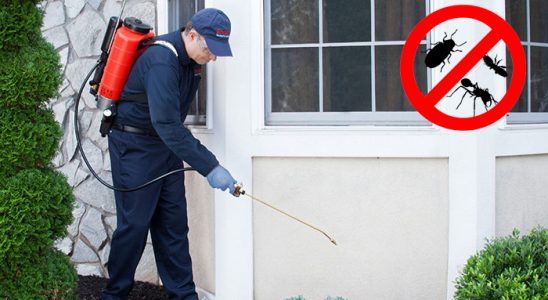 Bağlar Gümüşkurt İlaçlama böcek ilaçlama ve haşere kontrolü — ilaclama-tr.com